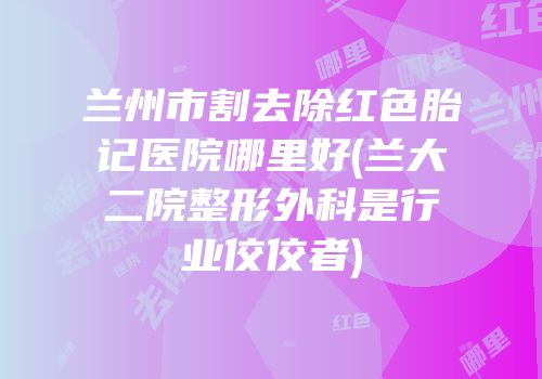 兰州市割去除红色胎记医院哪里好(兰大二院整形外科是行业佼佼者)