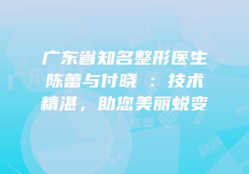 广东省知名整形医生陈蕾与付晓焜：技术精湛，助您美丽蜕变