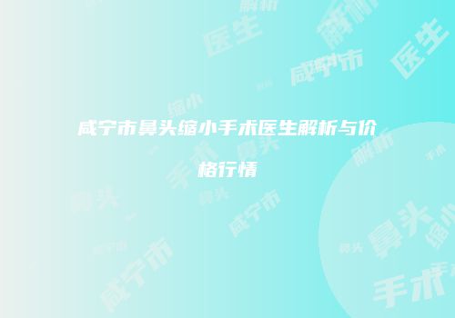 咸宁市鼻头缩小手术医生解析与价格行情