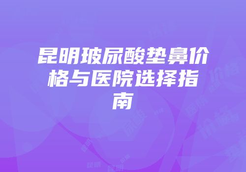 昆明玻尿酸垫鼻价格与医院选择指南