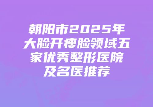 朝阳市2025年大脸开瘦脸领域五家优秀整形医院及名医推荐