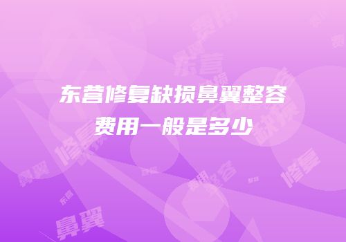 东营修复缺损鼻翼整容费用一般是多少