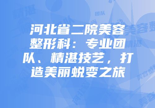 河北省二院美容整形科：专业团队、精湛技艺，打造美丽蜕变之旅