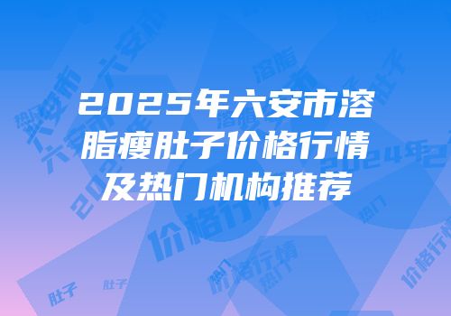 2025年六安市溶脂瘦肚子价格行情及热门机构推荐