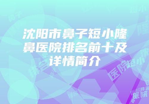沈阳市鼻子短小隆鼻医院排名前十及详情简介