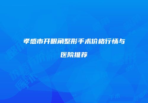 孝感市开眼角整形手术价格行情与医院推荐