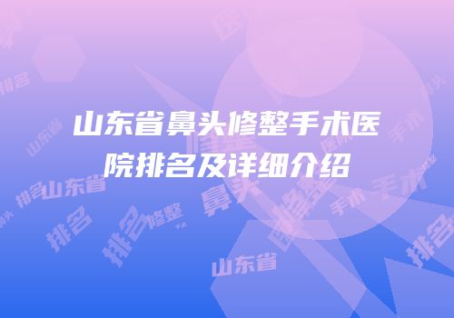 山东省鼻头修整手术医院排名及详细介绍