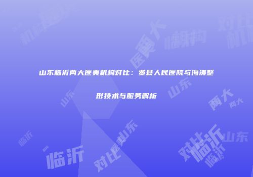 山东临沂两大医美机构对比：费县人民医院与海涛整形技术与服务解析