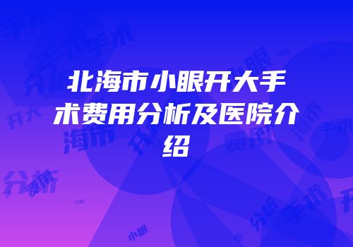 北海市小眼开大手术费用分析及医院介绍
