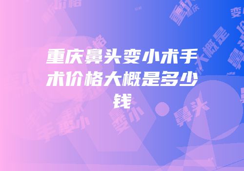 重庆鼻头变小术手术价格大概是多少钱