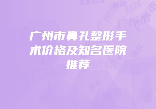 广州市鼻孔整形手术价格及知名医院推荐