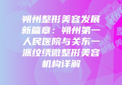 朔州整形美容发展新篇章：朔州第一人民医院与关东一派纹绣微整形美容机构详解