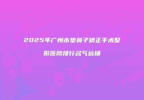 2025年广州市垫鼻子矫正手术整形医院排行名气远扬