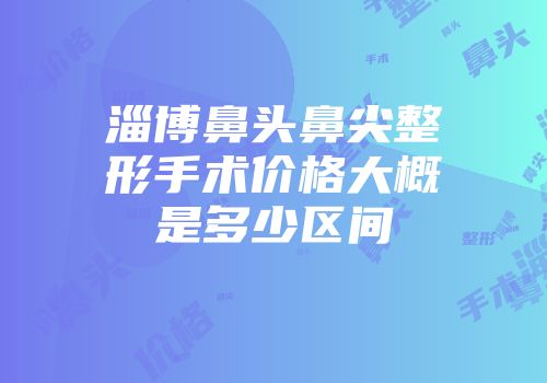 淄博鼻头鼻尖整形手术价格大概是多少区间