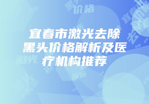 宜春市激光去除黑头价格解析及医疗机构推荐