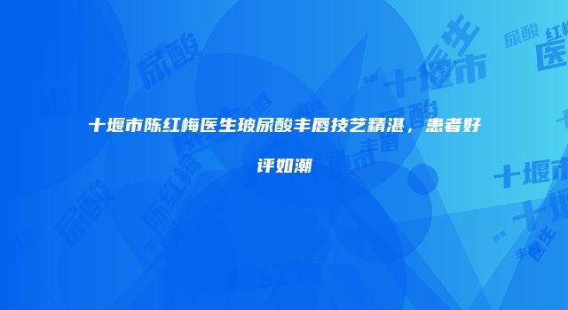 十堰市陈红梅医生玻尿酸丰唇技艺精湛，患者好评如潮