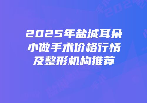 2025年盐城耳朵小做手术价格行情及整形机构推荐