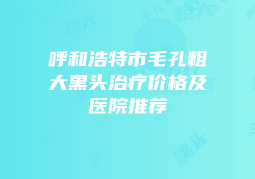 呼和浩特市毛孔粗大黑头治疗价格及医院推荐