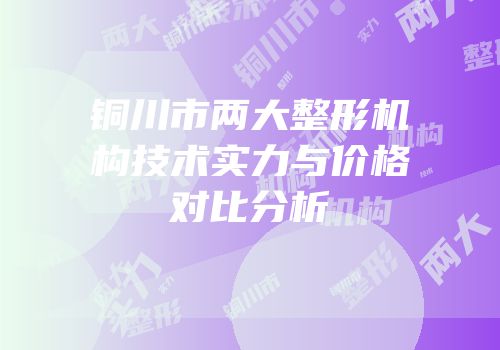 铜川市两大整形机构技术实力与价格对比分析