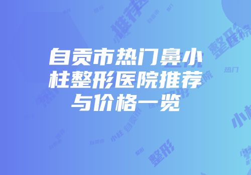 自贡市热门鼻小柱整形医院推荐与价格一览