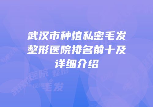 武汉市种植私密毛发整形医院排名前十及详细介绍