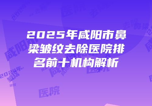 2025年咸阳市鼻梁皱纹去除医院排名前十机构解析