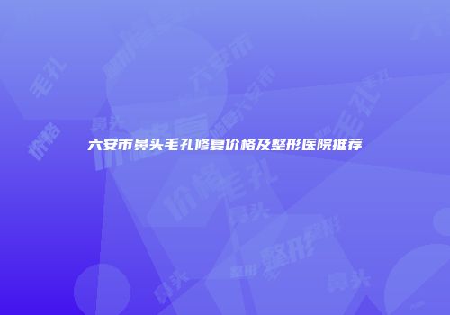 六安市鼻头毛孔修复价格及整形医院推荐