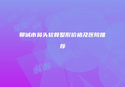 聊城市鼻头软骨整形价格及医院推荐
