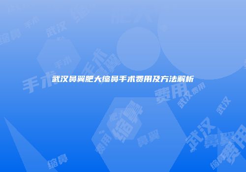 武汉鼻翼肥大缩鼻手术费用及方法解析