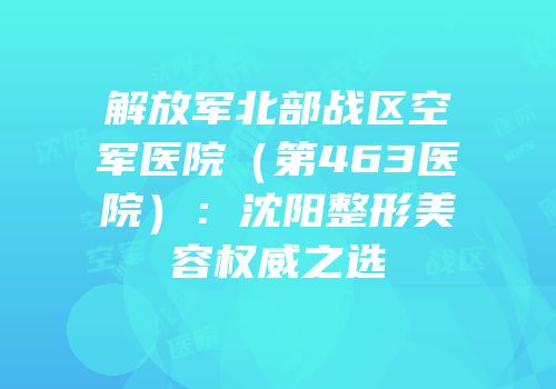 解放军北部战区空军医院（第463医院）：沈阳整形美容权威之选