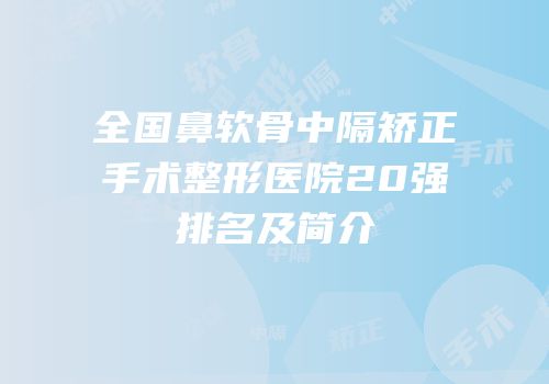 全国鼻软骨中隔矫正手术整形医院20强排名及简介
