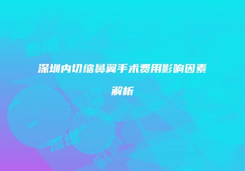 深圳内切缩鼻翼手术费用影响因素解析