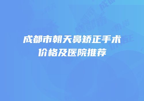 成都市朝天鼻矫正手术价格及医院推荐