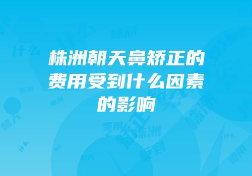 株洲朝天鼻矫正的费用受到什么因素的影响