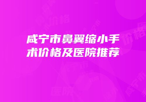 咸宁市鼻翼缩小手术价格及医院推荐