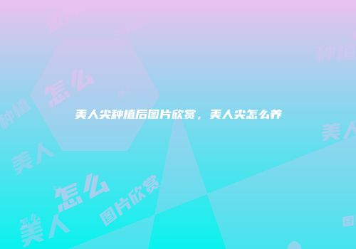 美人尖种植后图片欣赏，美人尖怎么养