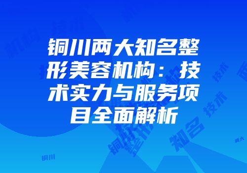 铜川两大知名整形美容机构：技术实力与服务项目全面解析