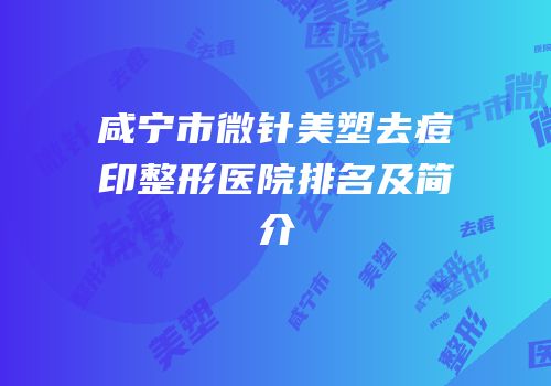 咸宁市微针美塑去痘印整形医院排名及简介