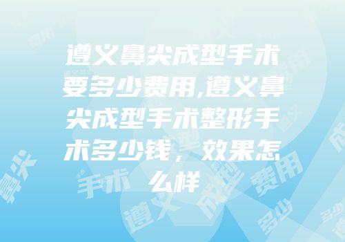 遵义鼻尖成型手术要多少费用,遵义鼻尖成型手术整形手术多少钱，效果怎么样