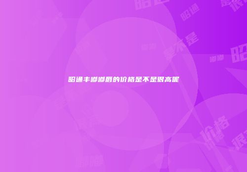 昭通丰嘟嘟唇的价格是不是很高呢