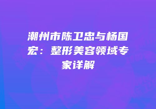 潮州市陈卫忠与杨国宏：整形美容领域专家详解