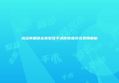 茂名市眼部去脂整容手术医院推荐及费用解析