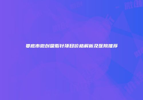 娄底市微创吸脂针项目价格解析及医院推荐