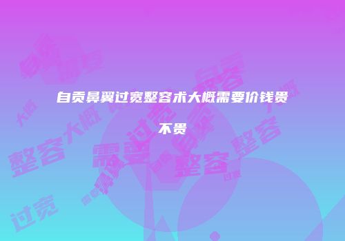 自贡鼻翼过宽整容术大概需要价钱贵不贵