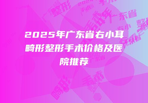 2025年广东省右小耳畸形整形手术价格及医院推荐