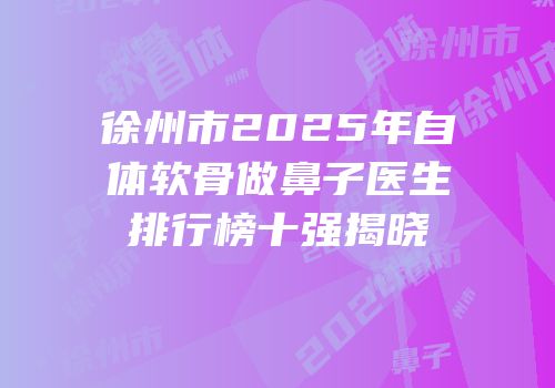 徐州市2025年自体软骨做鼻子医生排行榜十强揭晓