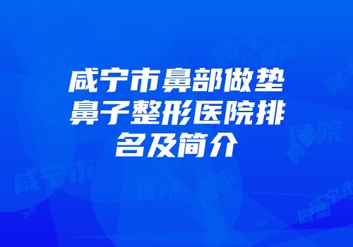 咸宁市鼻部做垫鼻子整形医院排名及简介