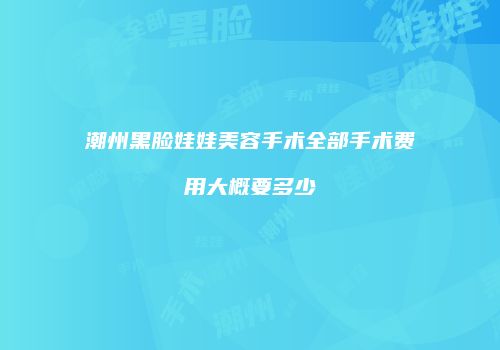 潮州黑脸娃娃美容手术全部手术费用大概要多少
