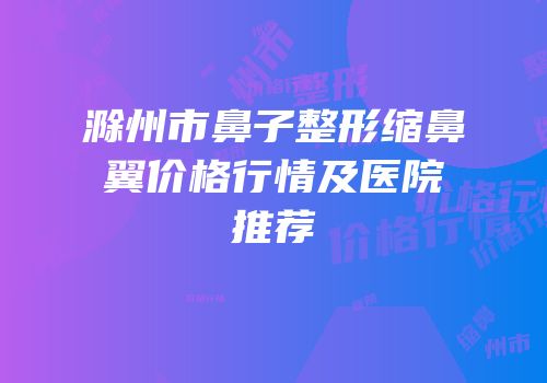 滁州市鼻子整形缩鼻翼价格行情及医院推荐