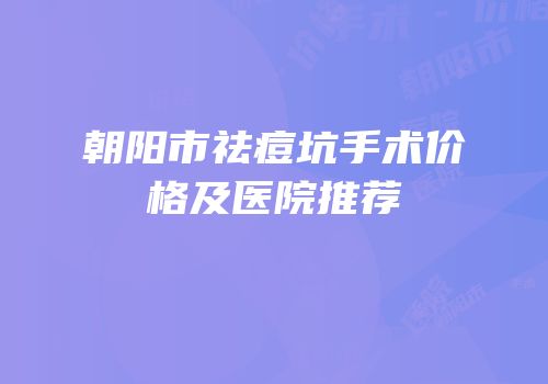 朝阳市祛痘坑手术价格及医院推荐
